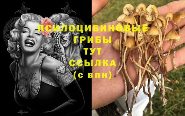 бутират Арсеньев
