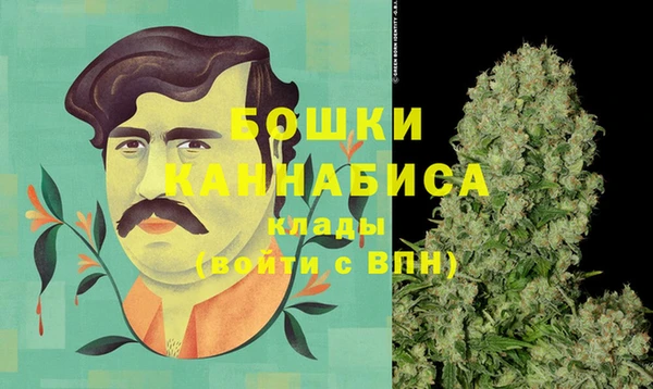 шишки Балабаново