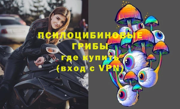шишки Балабаново